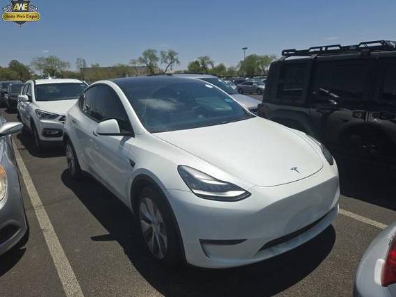 TESLA MODEL Y 2020 5YJYGDEE5LF028392 image